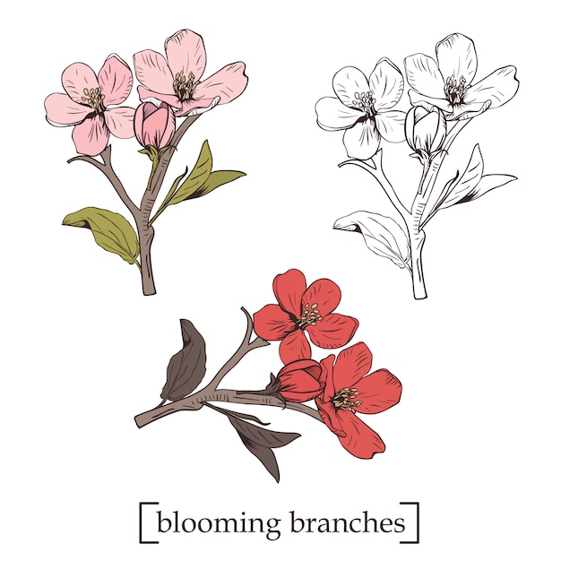 Blühender Baum. Set Sammlung. Hand gezeichnete botanische Blütenzweige