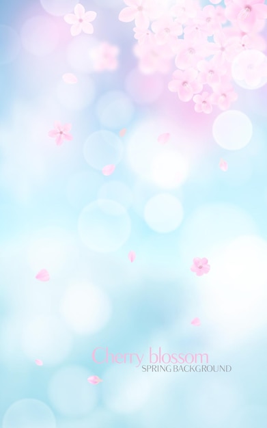 Blüten-Hintergrund mit Bokeh-Licht und Sakura-Blüten