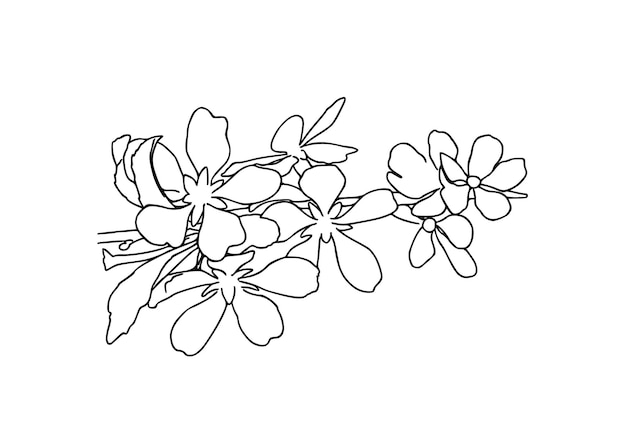 Vektor blütenknospen auf einem ast weiße naturpflanze kritzeln lineare cartoon-färbung