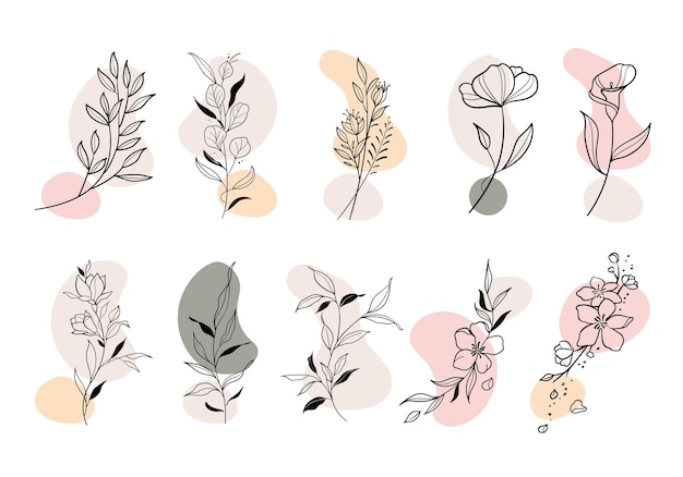 blume blatt farben form