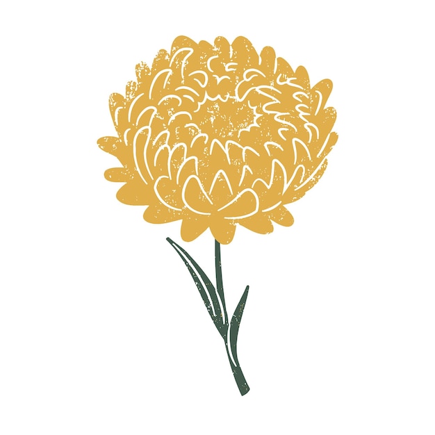 Vektor blume, clipart, illustration, grafik