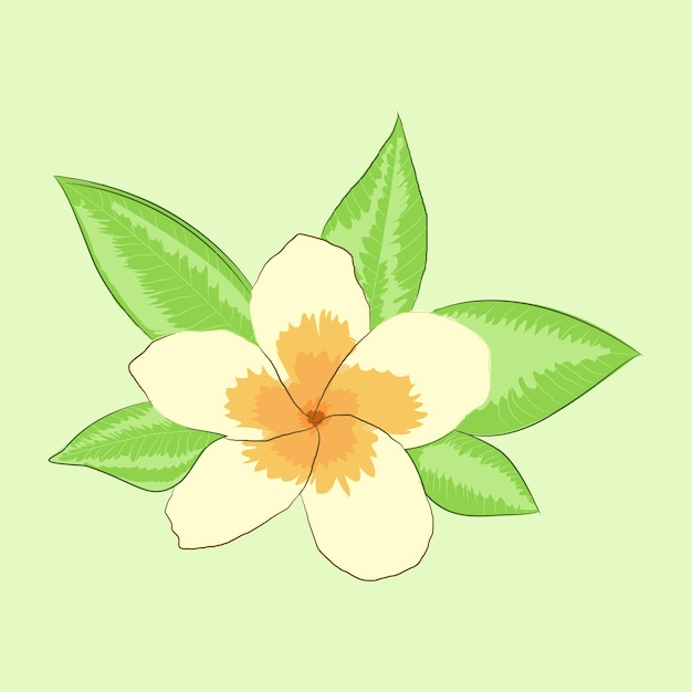 Blume vektor-illustration