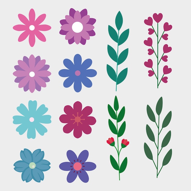 Blume