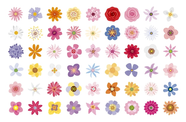 Blumen auf weißer Hintergrundvektorillustration