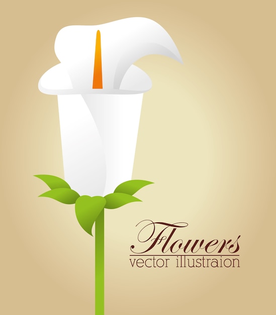 Vektor blumen design