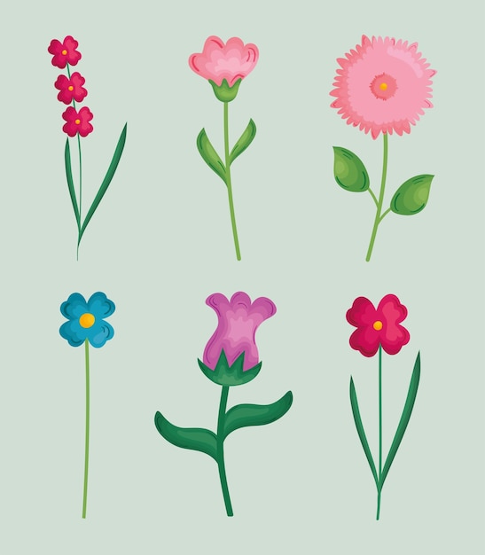 Blumen-Icon-Set