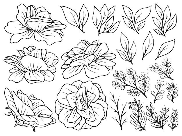Blumen-Linienkunst