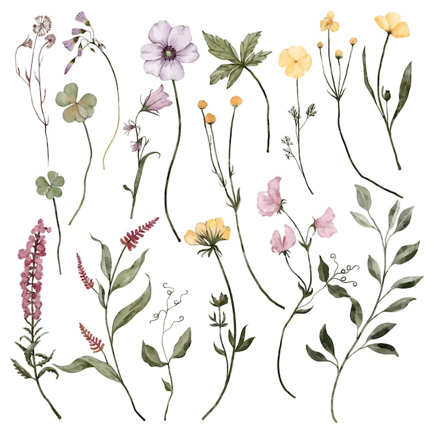 Blumen und Blätter