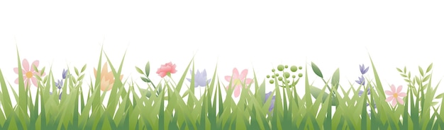 Blumen und Gras Rahmen Weißer Hintergrund
