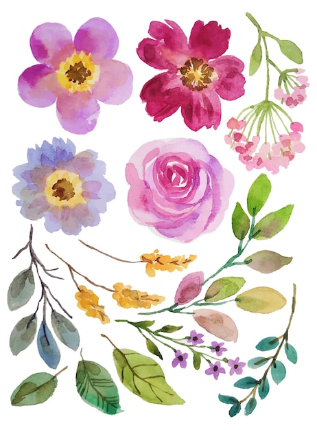 Blumenaquarellelemente