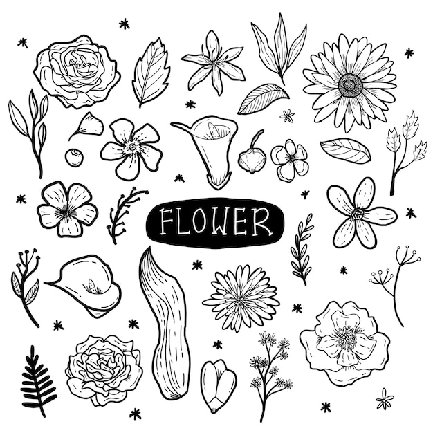 BLUMENHANDGEZEICHNETE DOODLE-ILLUSTRATION