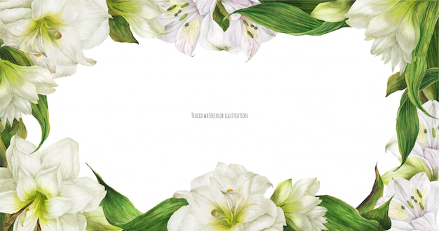 Blumenhintergrund mit weißen alstroemeria- und hippeastrumblumen