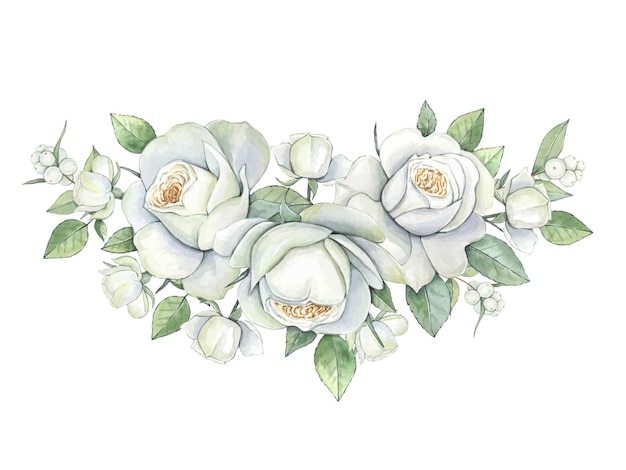 Vektor blumenillustration der weißen rosen des aquarells