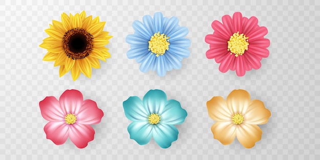 Blumenmuster des bunten Frühlingsblumensatzes ist keine realistische Vektorillustration