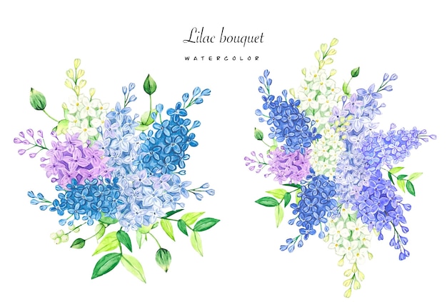 Blumensträuße aus lila Aquarellillustration isoliert