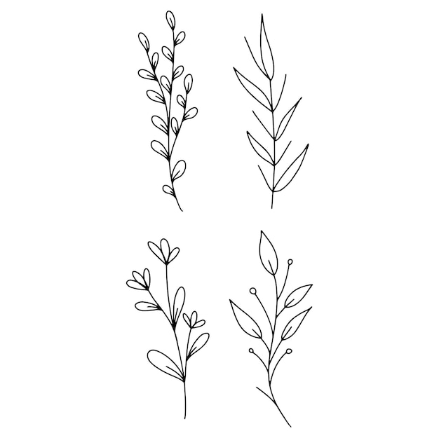 Blumenzweig und minimalistische blätter für logo oder tätowierung hand gezeichnete linie hochzeitspflanze elegante blume