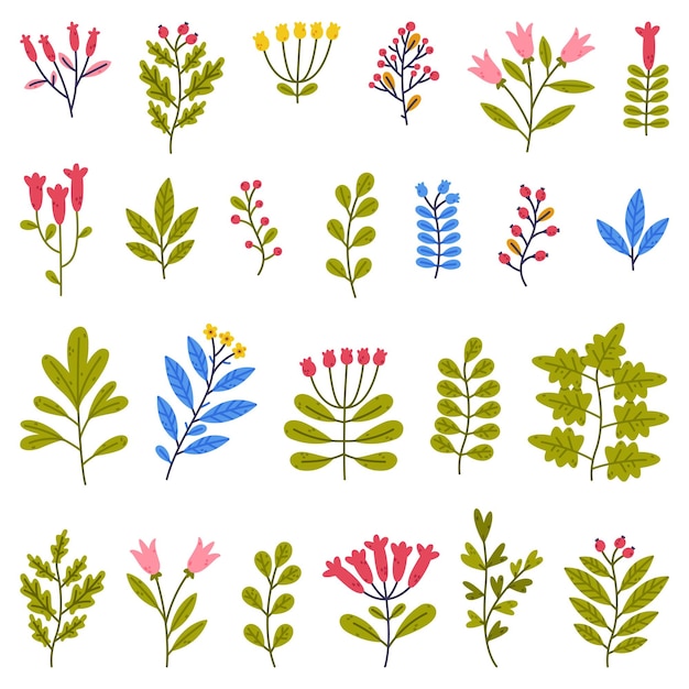 Blumenzweige mit blühenden Blüten und grünen Blättern als niedlicher Blattvektorsatz