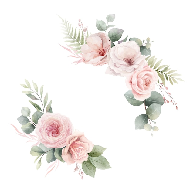 Blush rosa Rosen Blüten und Eukalyptusblätter Aquarell Vektor Blumenkranz