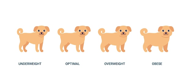 Body-mass-index hundediagramm gewicht haustier bmi gesundheit untergewicht optimales übergewicht und fettleibigkeit