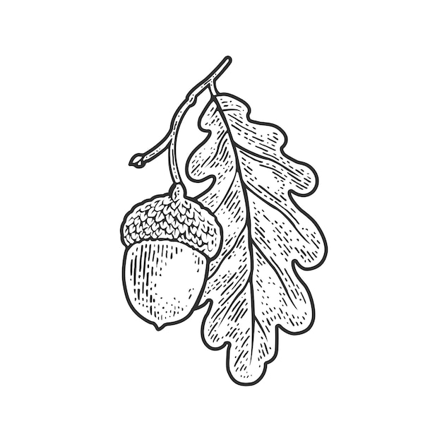 Bohnen und Bohnenblätter Illustrationskunst