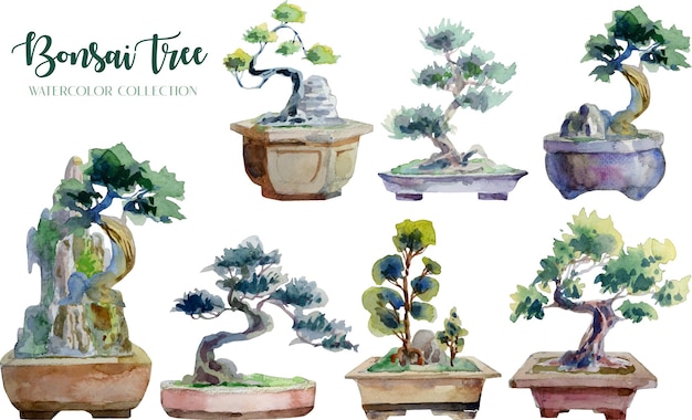 Bonsai Baum und Topf Aquarellmalerei Sammlung.