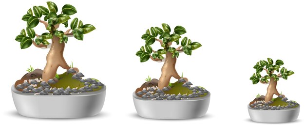 Vektor bonsai-baum