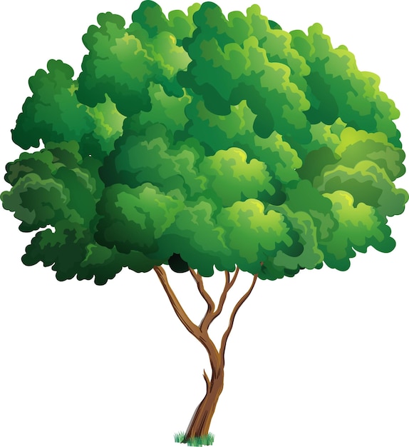 Vektor bonsai-baum