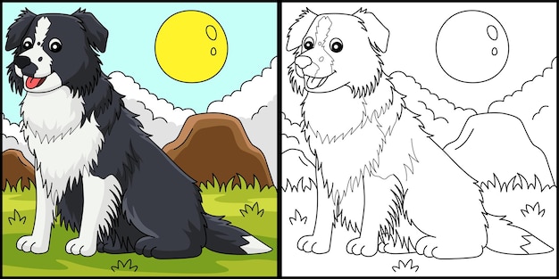 Border-collie-hund färbung seite illustration