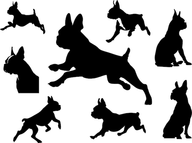 Boston-Terrier-Hundesilhouetten-Posen