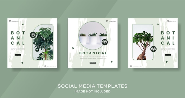 Botanik-Banner-Vorlage mit grüner Farbe für Social-Media-Instagram-Post-Premium-Vektor