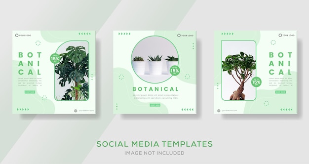 Botanische Bannervorlage für Medien Social Post Premium-Vektor