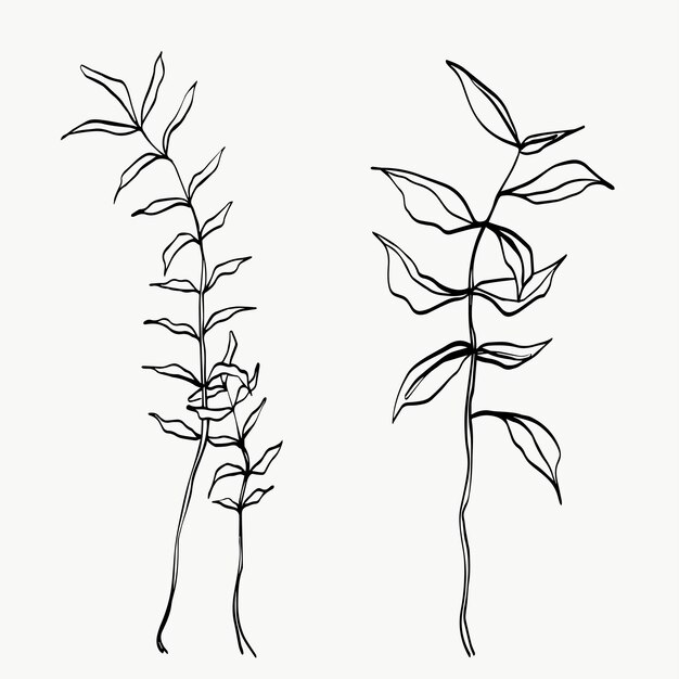Vektor botanische blätter strichzeichnungen. abstrakte moderne oder minimale pflanzenlinie. perfekt für wohnkultur wie poster. vektor-illustrationen-design.