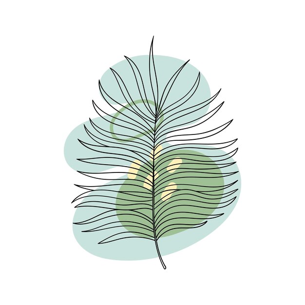 Botanische illustration des abstrakten palmvektors. boho-laub mit abstrakter form. tropische palmblätter clipart.