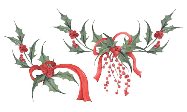Botanische Illustration von Holly AquarellillustrationWeihnachtende dekorative Elemente