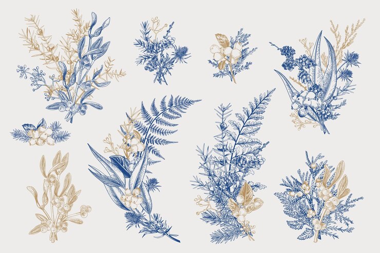 Vektor botanische illustrationen für den winter