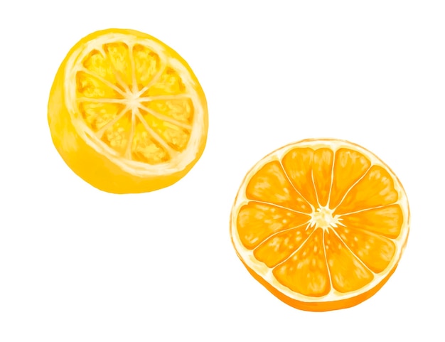 Botanische Malerei mit Orangen- und Zitronenfrüchten