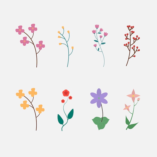 Vektor botanische set blumen vektor-illustration