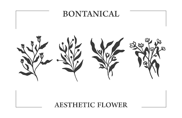 Vektor botanische wilde blume organische hand zeichnen illustration