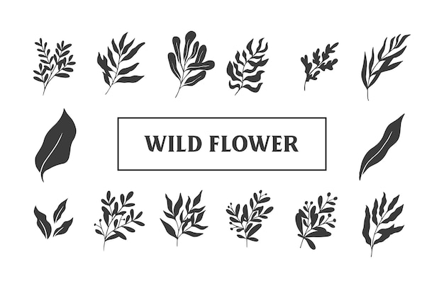 Botanische wilde blume organische hand zeichnen illustration