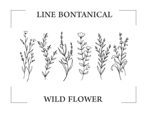 Botanische wilde blume organische hand zeichnen illustration