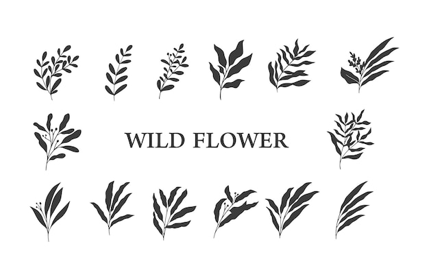 Botanische wilde blume organische hand zeichnen illustration