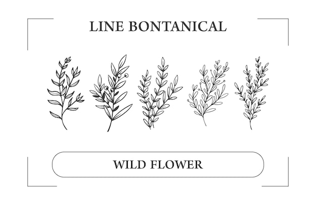 Vektor botanische wilde blume organische hand zeichnen illustration