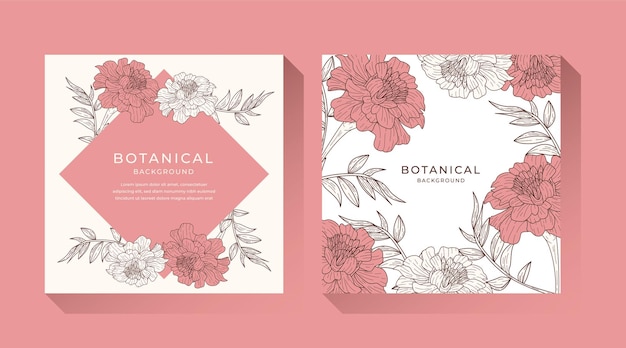 Botanischer Hintergrund
