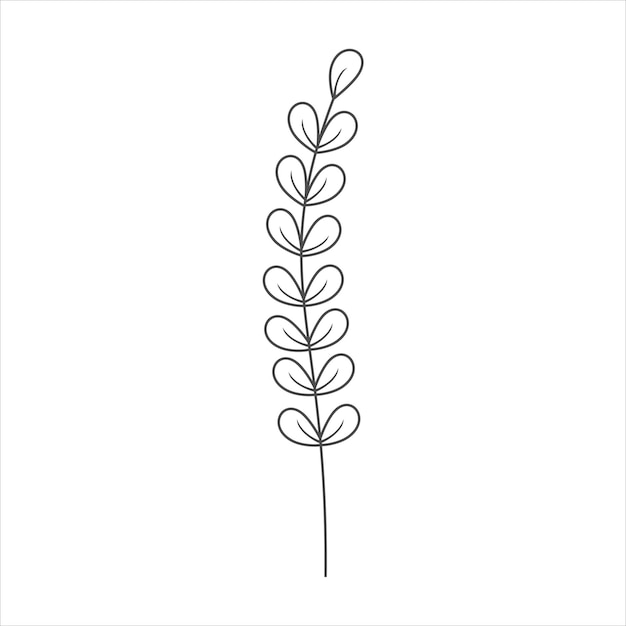 Botanisches blatt doodle wildblumen strichzeichnungen