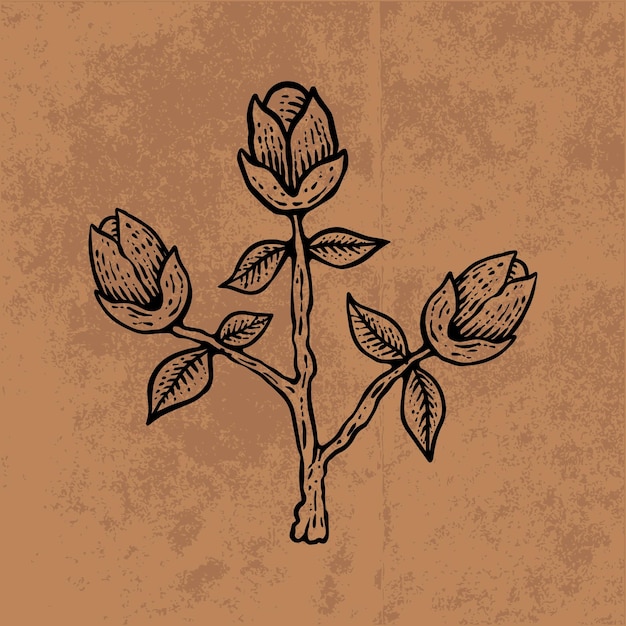 Botanisches Blatt Doodle Wildblumen Strichzeichnungen