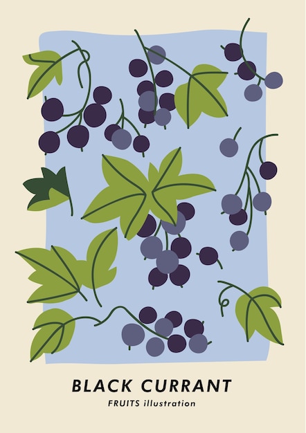 Botanisches poster der vektorillustration mit beeren der schwarzen johannisbeere kunst für für postkartenwandkunstfahnenhintergrund und -abdeckung