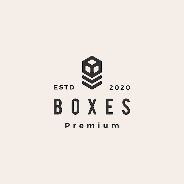 Boxes hipster vintage logo symbol illustration