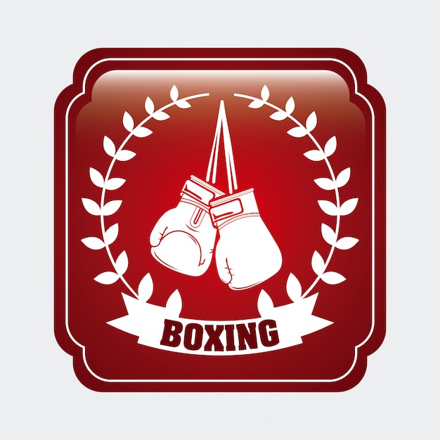 Boxsport