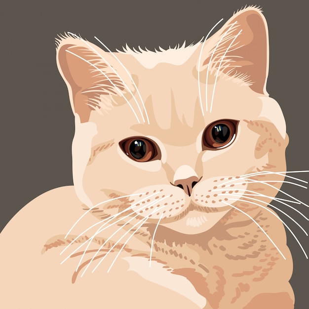 Britische lila katze illustration