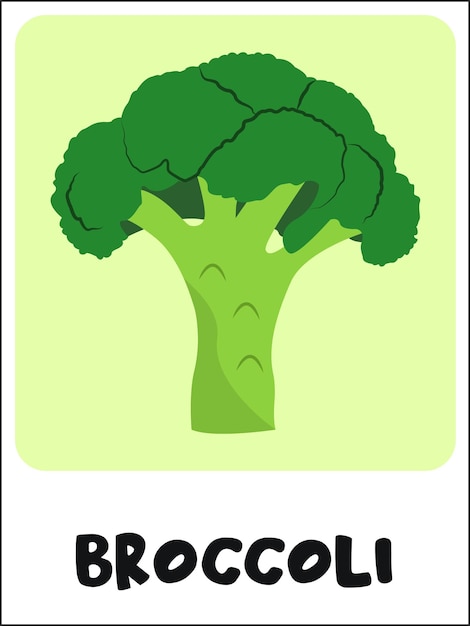Brokkoli-karteikarte